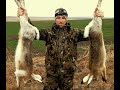 ЭТО ЛУЧШЕЕ ОТКРЫТИЕ ОХОТЫ НА ЗАЙЦЕВ!!! ДОБЫЛ НОРМУ ЗА ЧАС!!! the hunting of the hare / MAX HUNTER