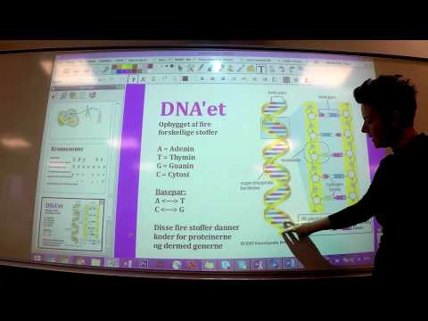 Video: Forskellen Mellem Genomisk DNA Og Plasmid-DNA-isolering