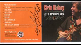 Video thumbnail of "Elvin Bishop - What the Hell Is Going On"