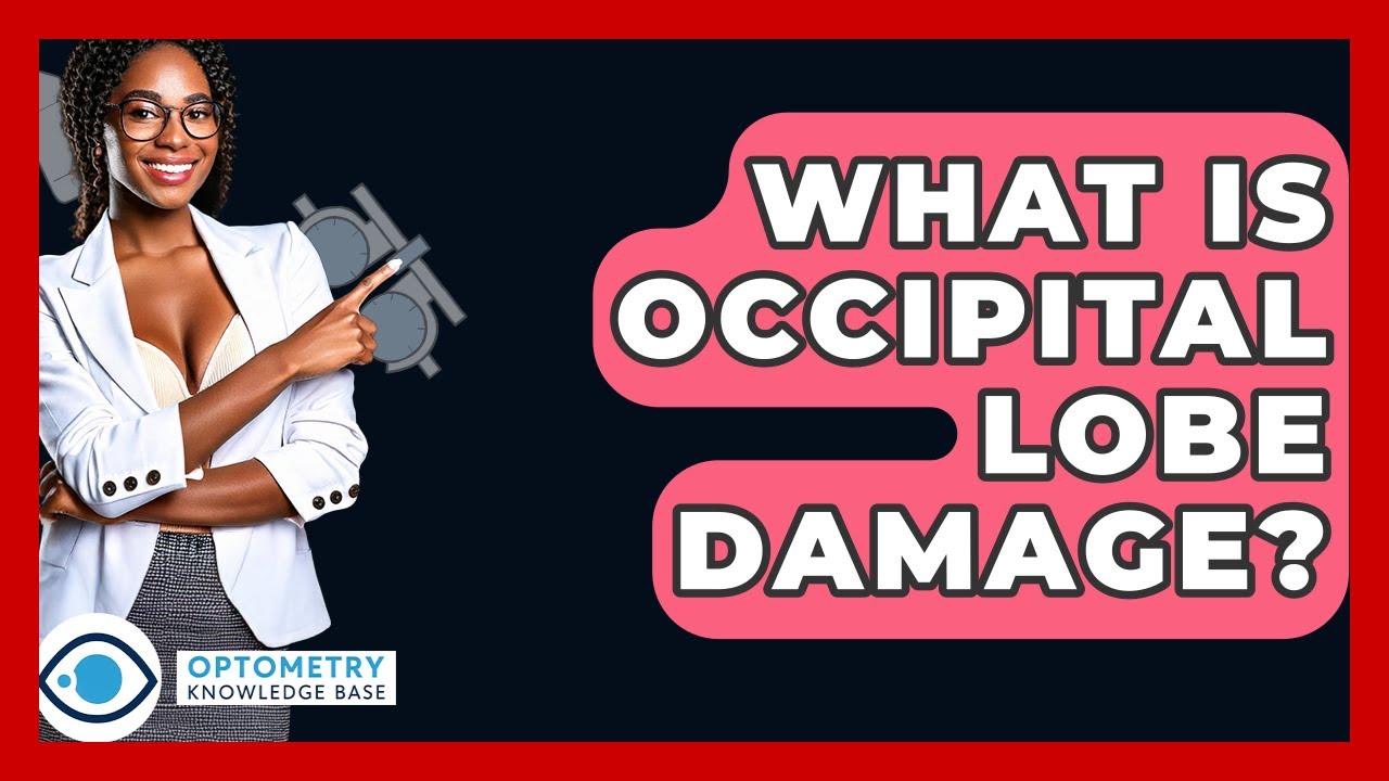 What Is Occipital Lobe Damage? - Optometry Knowledge Base