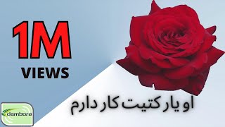 O yar katit kar darm- Najib Kishmi او یار کتیت کار دارم - نجیب کشمی