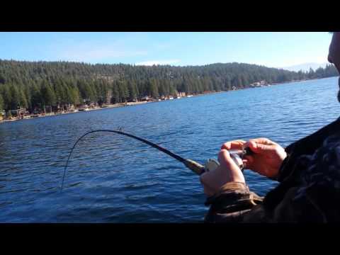 Donner lake 18 pound Mackinaw battle 11-18-16 Donner lake 18 pound Mackinaw battle 11-18-16