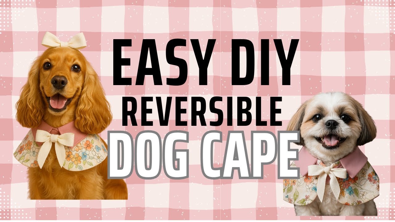 How to make a Dog Cape DIY