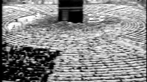 علي الحذيفي - سورة الزمر