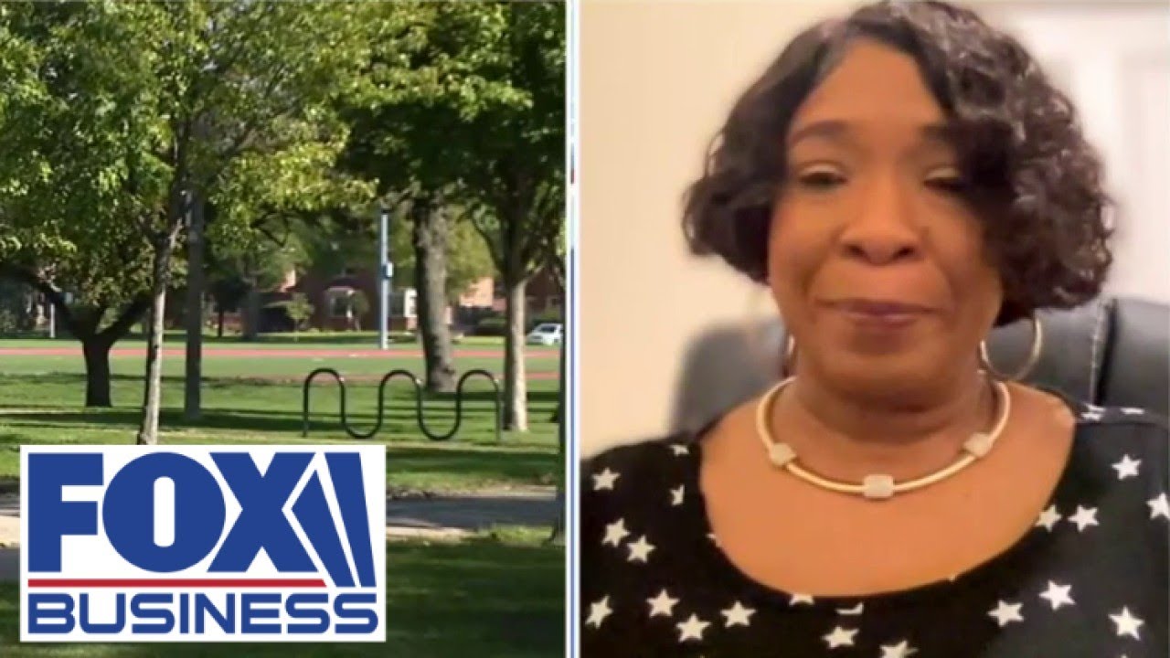 Chicago Democrat sues city over plans to turn community park into migrant shelter