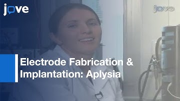 Multi-Channel Neural For Muscular Recordings: Intact, Freely Behaving Animals l Protocol Preview