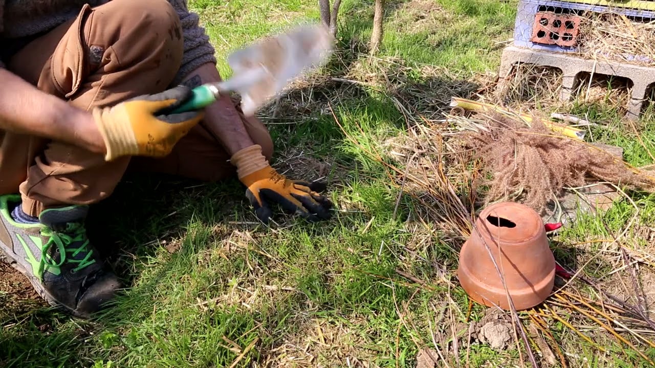 Un nido per Bombi in Giardino