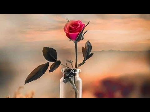 Gorsa Xiqqoo Kana Dhagefadha