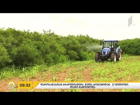 ფაროსანასთან ბრძოლისთვის მიმდინარე წლის ბიუჯეტიდან 17 მლნ ლარი გამოიყოფა