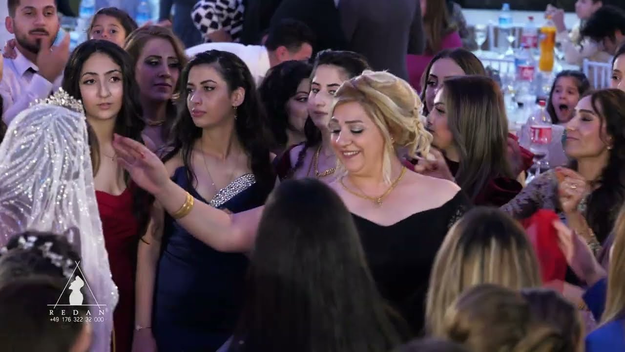 اجمل اعراس عفرين في هولندا مع الفنان شيخ موس دلدار وعازف الأورك المتألق  جوان بكر #اعراس #كردي