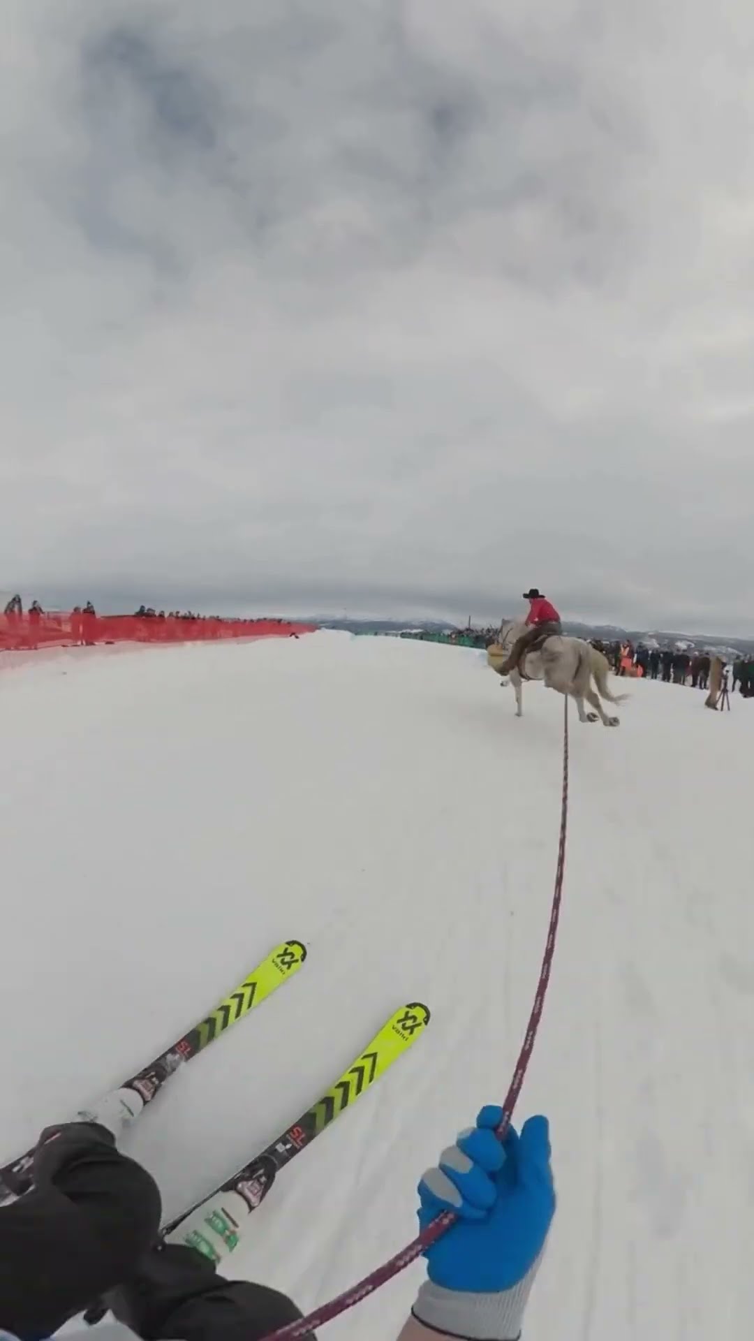 skated with a rope tied in the horse #shortsvideo