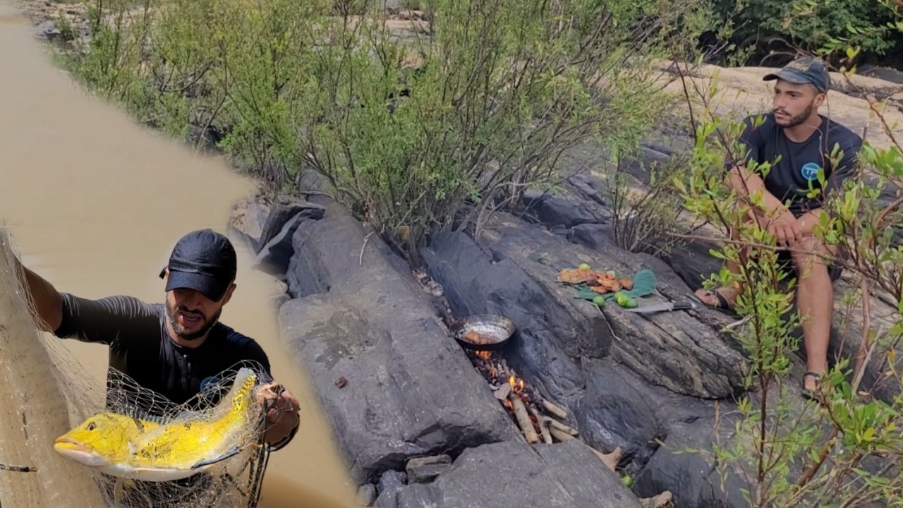 Descobrimos onde habitam os amarelâo