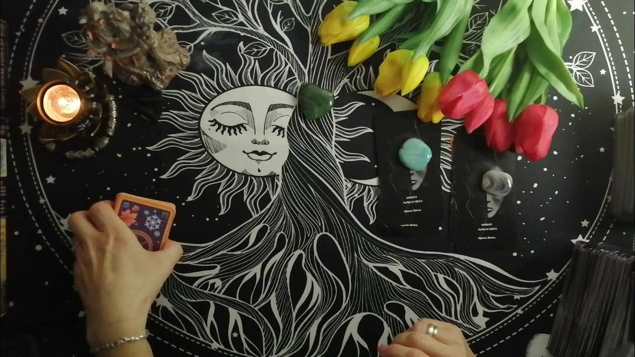 КАКАЯ КРЫСА ВАМПИР В ВАШЕМ ОКРУЖЕНИИ⁉️🤔🐀🐁 - YouTube