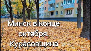 видео: 9. Курасовщина - это минский микрорайон с маленькими домами и большими деревьями. Конец октября 2025 картинка: 9. Курасовщина - это минский микрорайон с маленькими домами и большими деревьями. Конец октября 2025