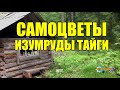 НАХОДКА = КАМЕНЬ ИЗУМРУД В ТАЙГЕ  НАХОДКА ДЕДА   ДОБЫЧА КАМНЕЙ В СИБИРИ  СУДЬБА ЧЕЛОВЕКА