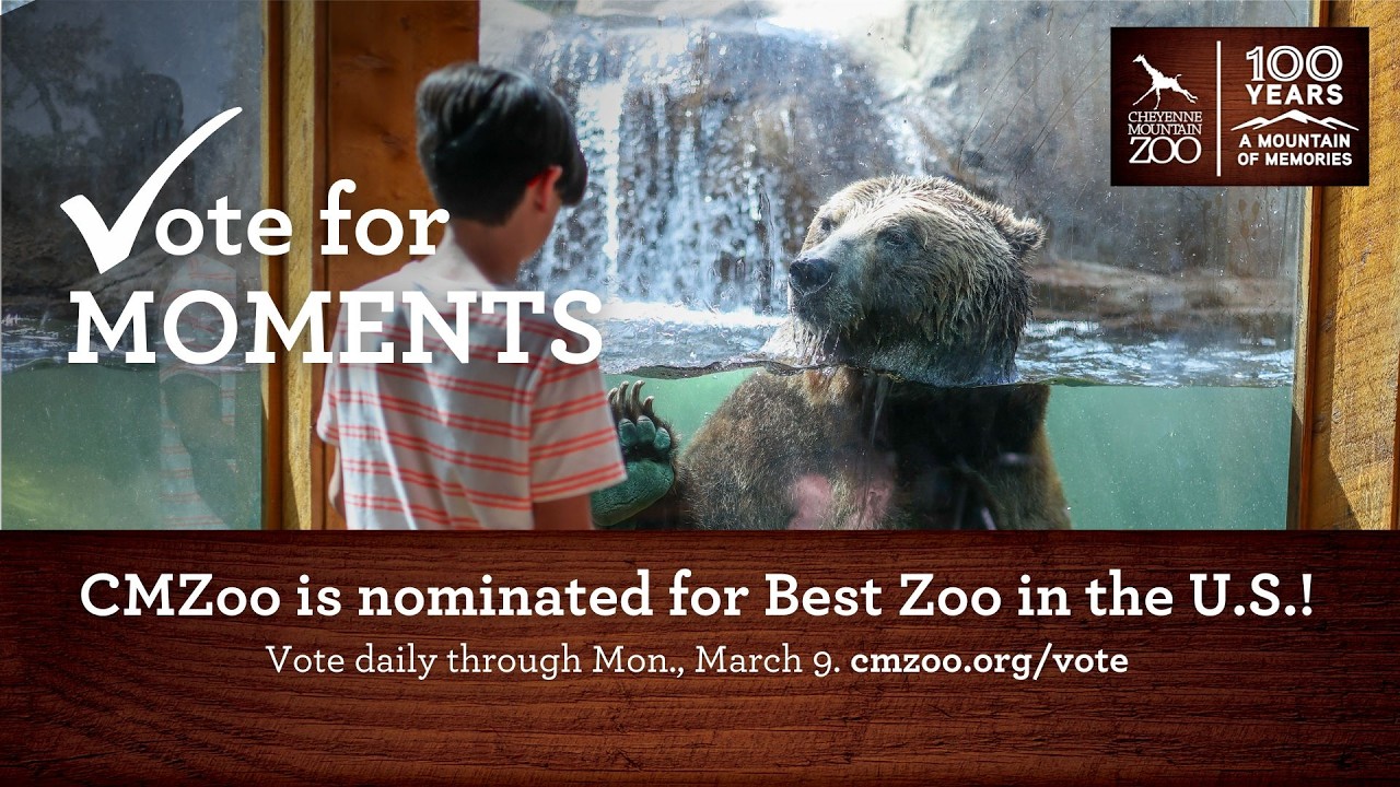 CMZoo is Nominated for Best Zoo in the U.S. by USA TODAY’s 10Best ...