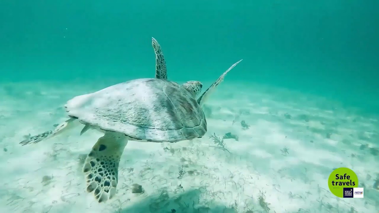 Cancun Tours Snorkel Xtreme Tour YouTube