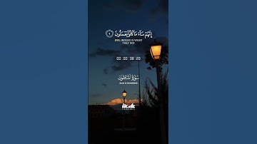 هذا الصوت يوقظ القلوب النائمة | تلاوة نادرة لعلاء عقل