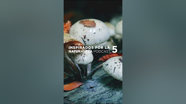#03 Dinelly Soto: Todo sobre los hongos, desde la Patagonia