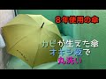 【オキシクリーン】カビが生えた傘をオキシ液で丸洗い