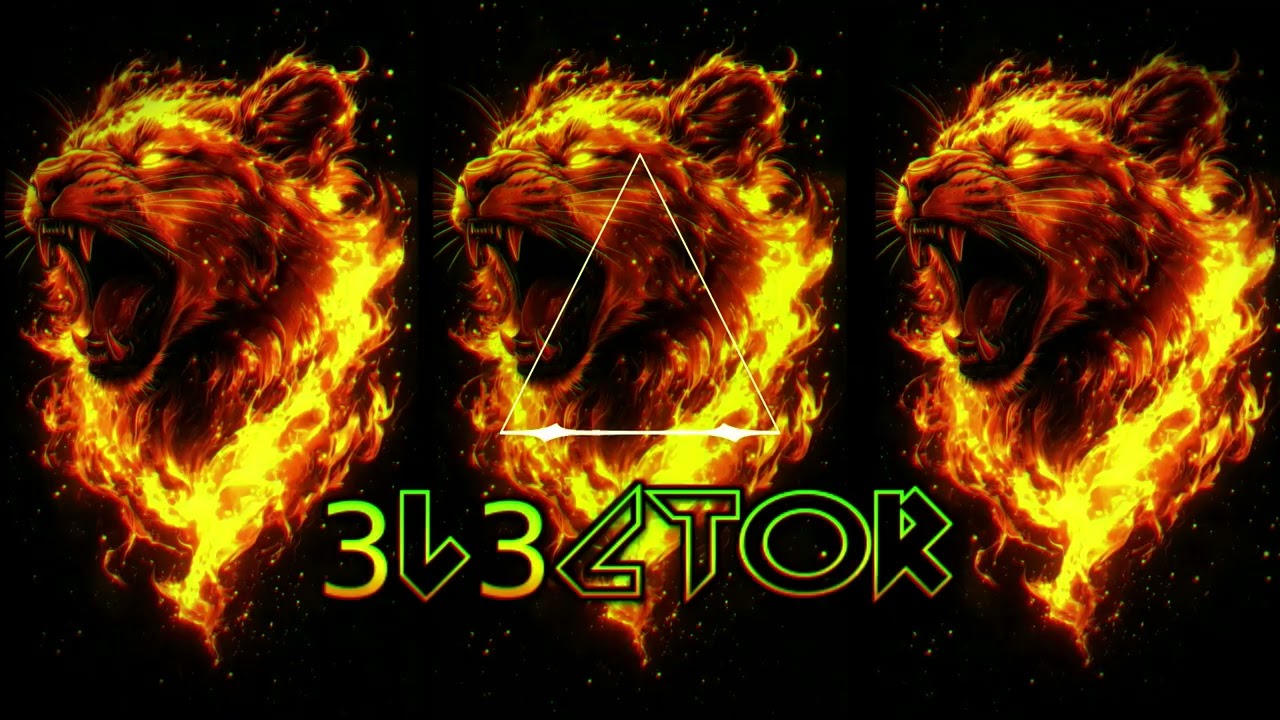 3L3CTOR  |  HOUSE MELODICO