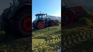 Fendt 942 In Trincea