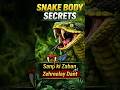 Snake Ki Zaban Aur Dant Ka Raaz | Nature’s Deadliest Machine #animalfacts #marinemystery #wildlife