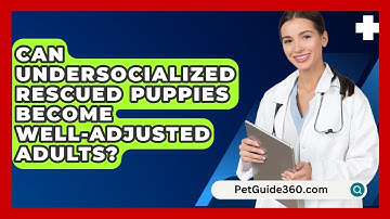 Can Undersocialized Rescued Puppies Become Well-adjusted Adults? - PetGuide360.com