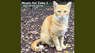 Talk with a Cat 01 Cute Orange Tuxido Tabby Cat screenshot 5