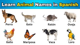 Learn Animal Names in Spanish | Spanish Vocabulary
