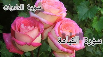 سورة العاديات  و سورة القيامة،