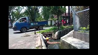 Devanno mermaid 🧜‍♀️