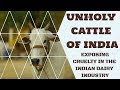 Unholy Cattle of India : Exposing Cruelty in the Indian Dairy Industry