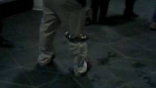 CMU Robot Snake