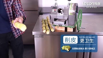 Manual Sugar Cane Press Juicer Machine 1