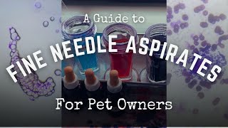 Understanding Fine Needle Aspirates for Pet Owners