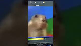 Dramatic Chipmunk (Normal, Slow, Fast, and Reversed)