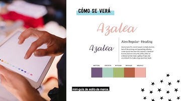 ecomConnect - Ask the Expert  |  Design your own brand (VII): Create your brand style guide