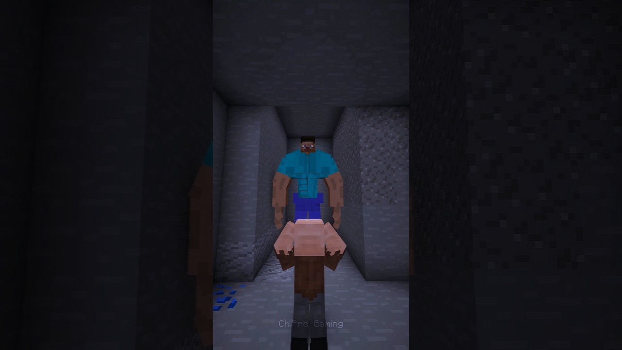 Minecraft Poor Steve 💀||