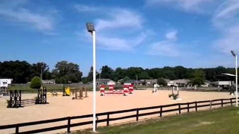Piedmont Hermans first show! Dean Graham riding.Aw