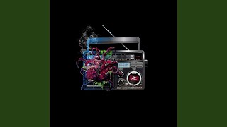 66.6 FM