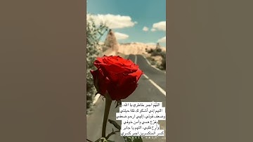 القارئ ياسر الدوسري - تلاوة خاشعة من سورة الكهف - حالات واتس اب يوم الجمعة - حالات واتس اب دينية