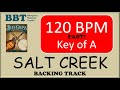 Salt creek fast bluegrass backing track