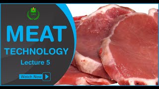 Post Mortem Changes In Meat | Meat Technology Lecture 5 | Mehwish Zarlasht