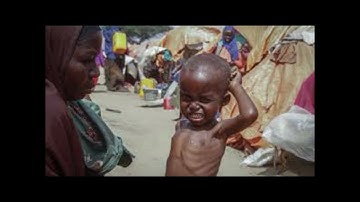 Parallel and contrapuntal sound video