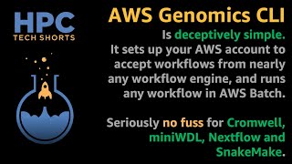 Famous Genomics workflow set made easy with AWS Genomics CLI Profile