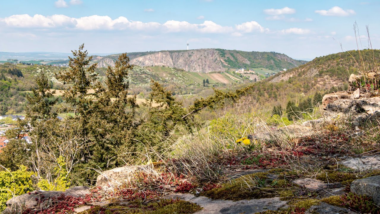 Rundwanderung Schäferplacken - Altenbaumburg