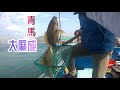 青馬艇釣2022—收穫唔錯(人人有魚食)@HK FISHING香港釣魚頻道