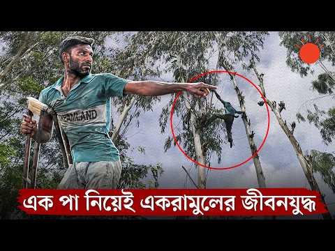 এক পা নিয়েই গাছের মগডালে উঠে পড়েন একরামুল | Ekramul’s Inspiring Story | News | Prothom Alo