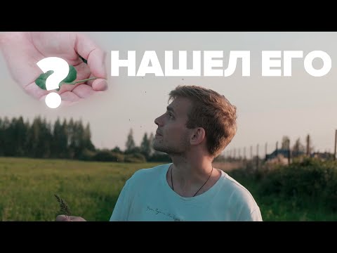 НАШЕЛ ПЯТИЛИСТНЫЙ КЛЕВЕР | ОДИН НА МИЛЛИОН!